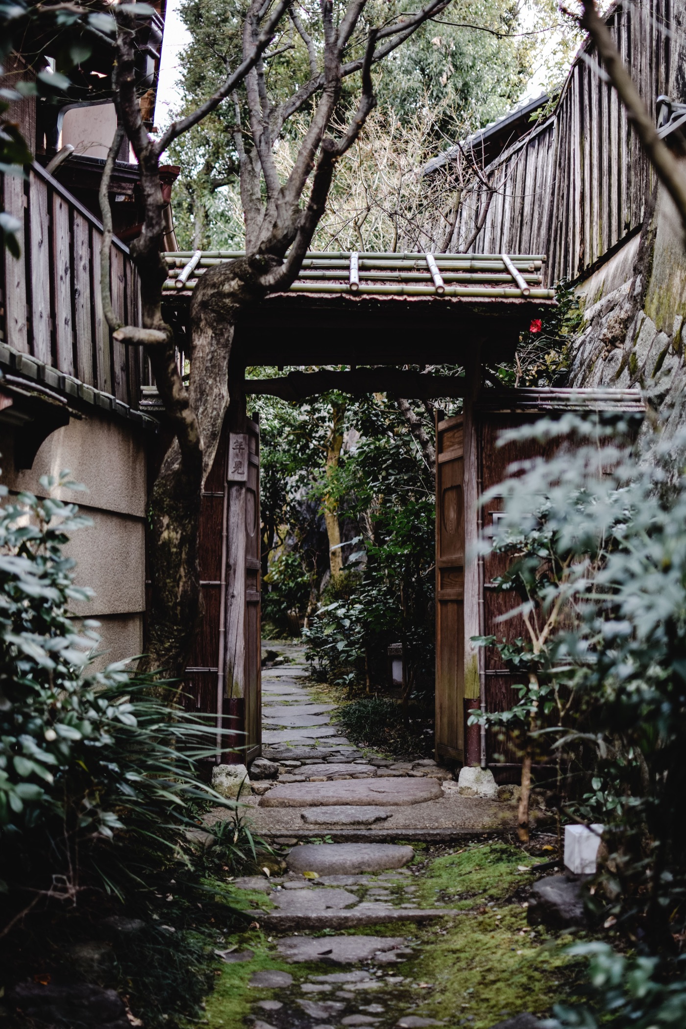 Portail en bois d'une maison traditionnelle à Kyoto, allée de pierres et jardin moussu
