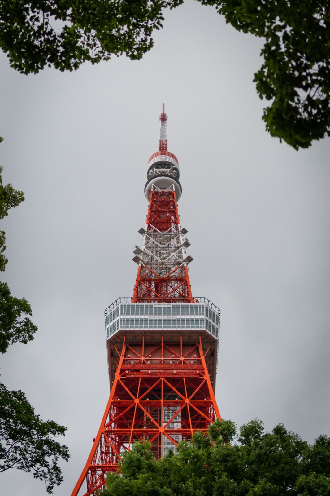 Tokyo Tower vue à travers des arbres, symbole du Japon pour les candidats au JLPT
