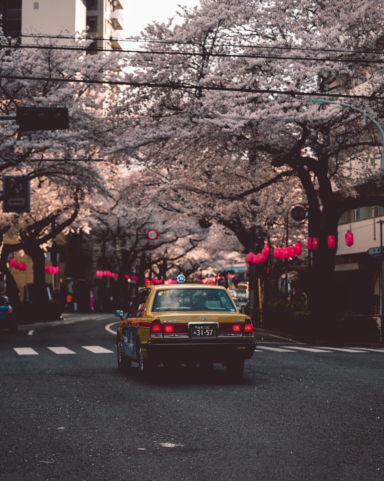 Taxi japonais sous les cerisiers en fleurs dans une rue résidentielle