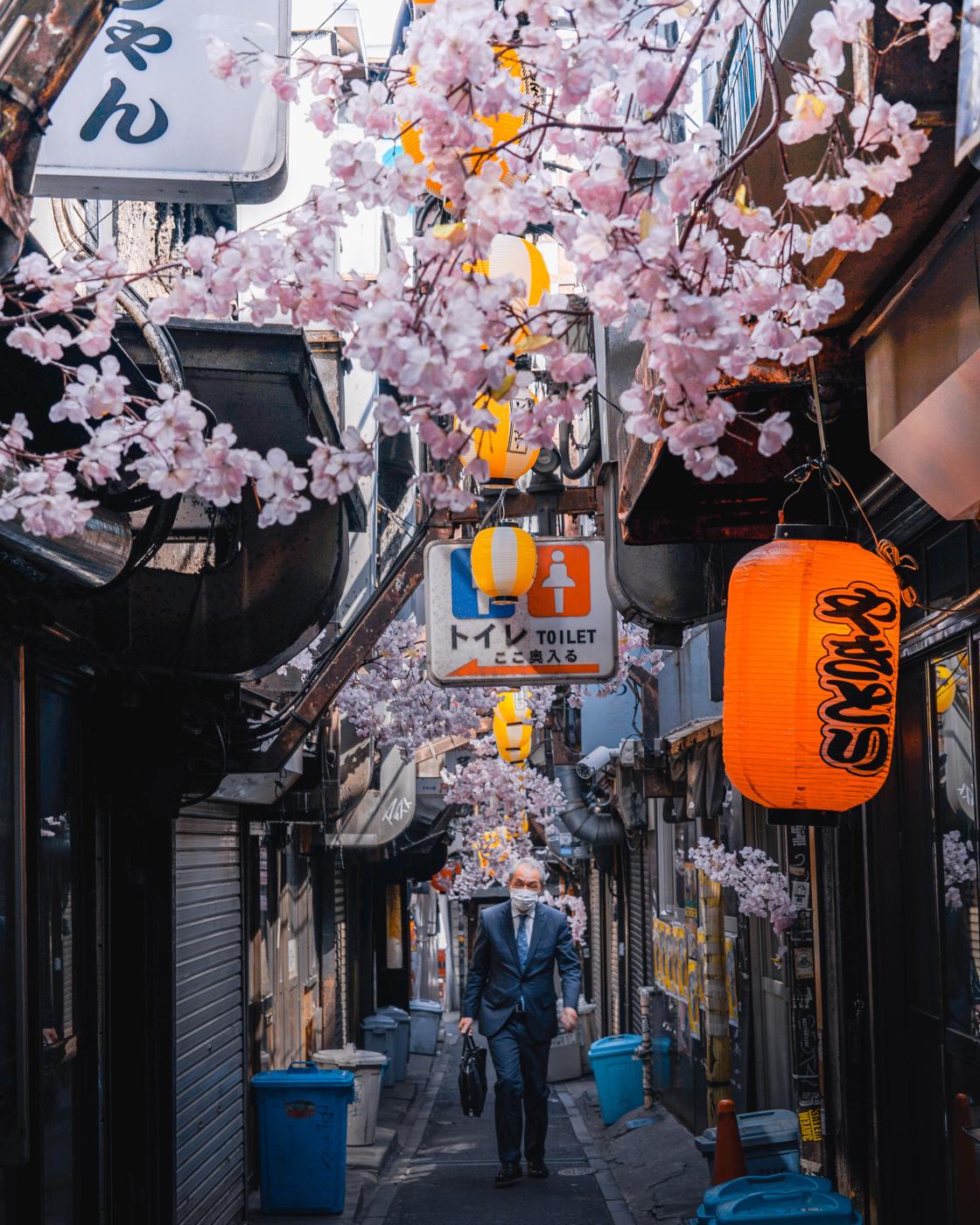 Une ruelle japonaise sous les cerisiers en fleurs
