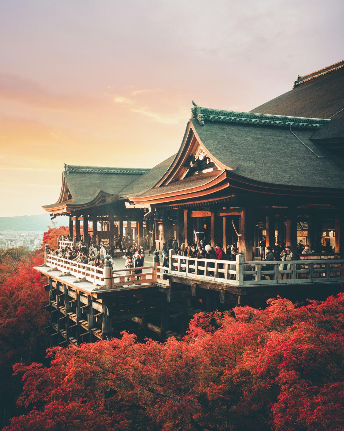 Un temple japonais au coucher du soleil, entouré d'érables rouges